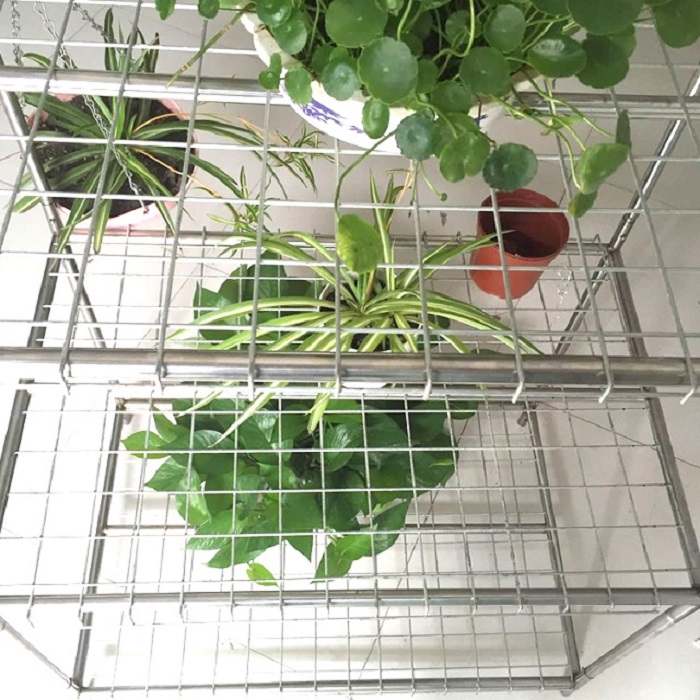 Skyplant Walk في Mini Garden Greenhouse