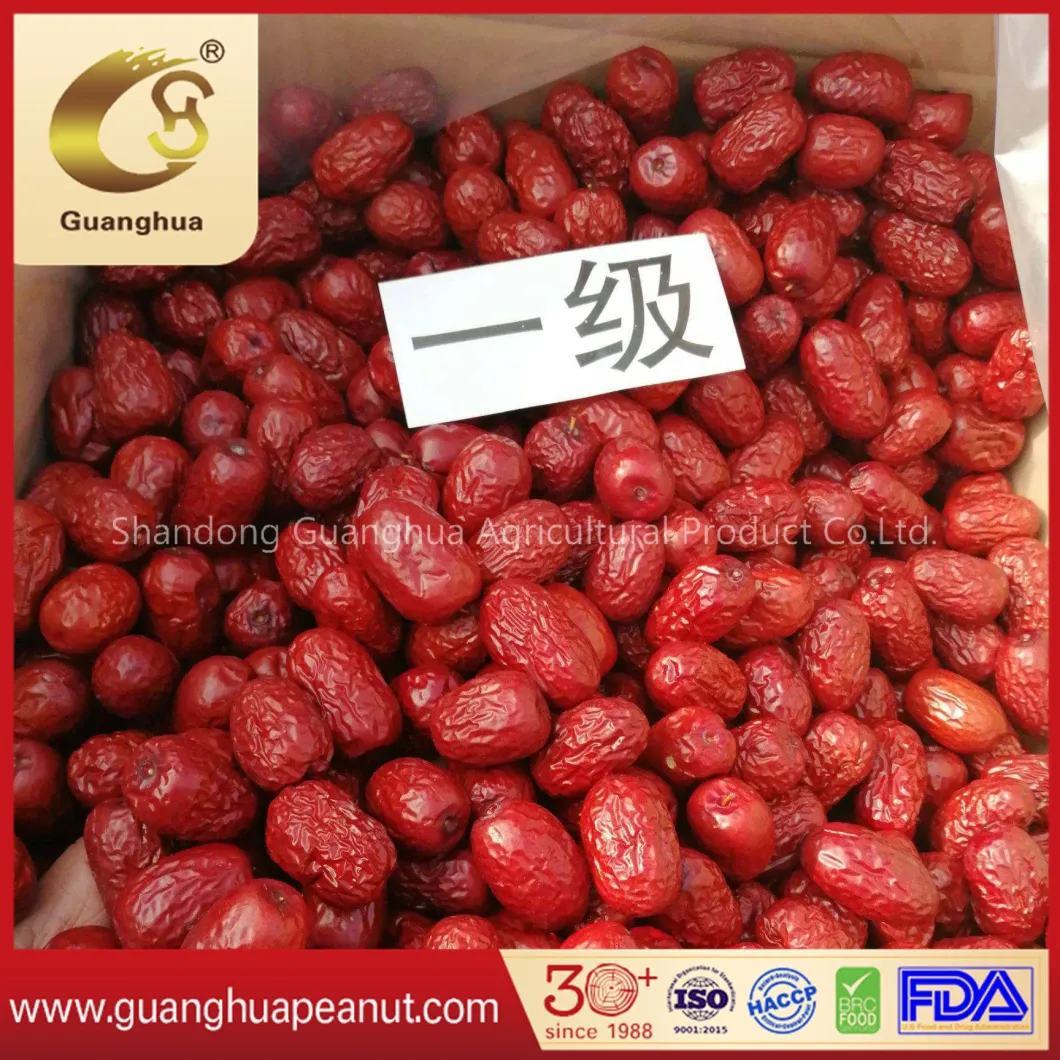 Best Quality Chinese Red Jujube with Good Taste