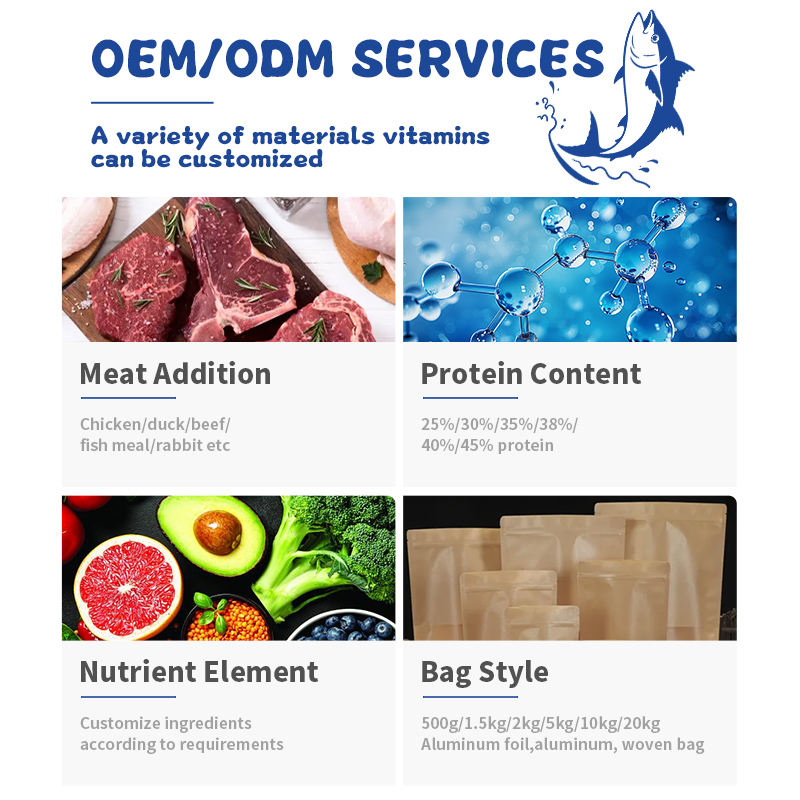 nome padrão default name