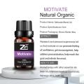 Motivate Blended Essential Oils Natural Blend Oil OEM/ODM