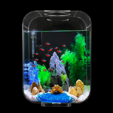 Clear Creative Mini Desktop Fish Tank Aquarium for Goldfish Display