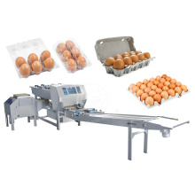 Automatic ORMЕ Dozen Egg Pack Machine for Egg Tray