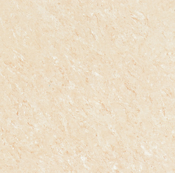 Polished Tile Doule Loading Series (WS6016)