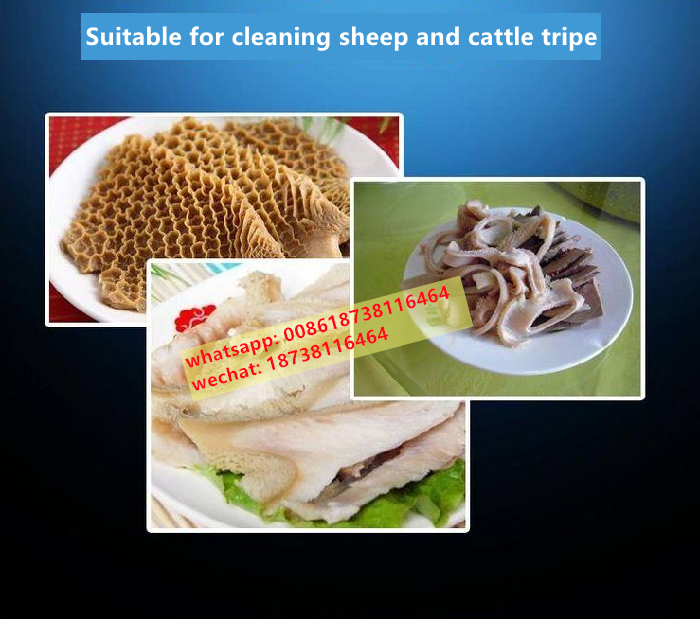 Cylindrical pig cow tripe cleaning machine beef cattle stomach belly washing machine  Poultry chicken feather plucking machine