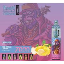 Randm Tornado dispensável 7000 Puffs Vape Wholesale