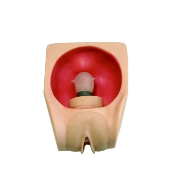 Advanced Female Contraceptive Exercise Models for Medical Science Family Planning - DARHMMY