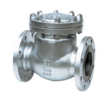 Internal thread check valve