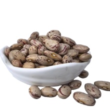 Rich in Fiber, Soy Flavor & Protein: Light Speckled Kidney Beans