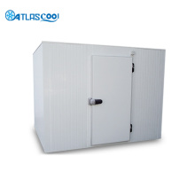 modular cold storage cold room chamber
