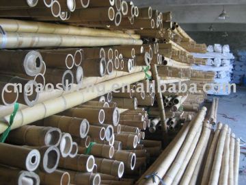 moso bamboo poles