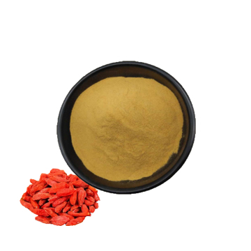 Top Quality organic Goji berry extract powder