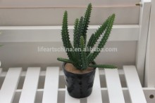 succulent plants, mini plant, Decorative Artificial Cactus Succulent Plant in a ceramic pot #2