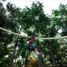 Outdoor Sky Rider Zip Line for sale