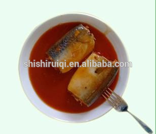 Mackerel tin in tomato sauce