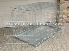 Garden Galvanized Cage Wire ( MANUFACTURER ISO 9001)