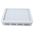 COB LED Grow Light untuk Loji Vegan &amp; Buah Basement