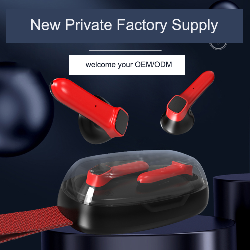 New private Bluetooth Headset with charging case