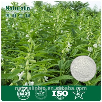 Natural Sesame Seed Extract 10:1 20:1 Ratio Extract