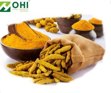 Turmeric Curcuma Extract 95% Curcuminoids