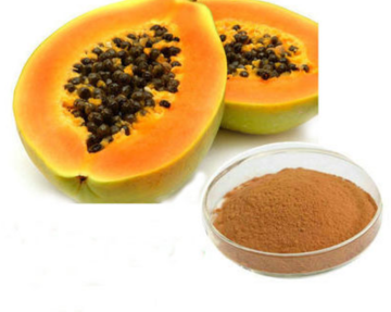100% natural Dry Papaya Seed Juice Extract powder