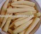 Canned baby corn whole