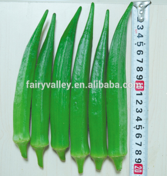 Hybrid okra seeds For Growing-East Long Beauty