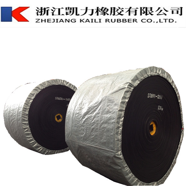 Wholesale Price High Quality Heat Resistant Conveyor Belt