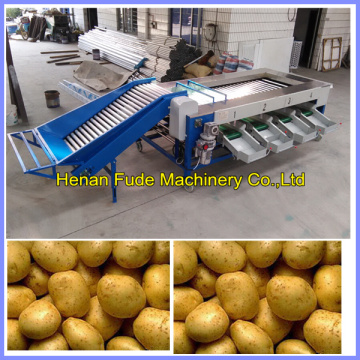 potato grading machine, garlic sorting machine