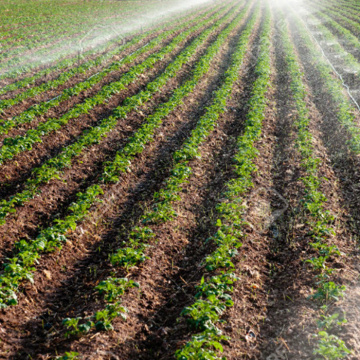 Système d&#39;irrigation par aspersion à effet de serre pour l&#39;arrosage