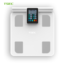 Electrode Body Scale with Handle Bar for Full Body Fat and BMI Analysis