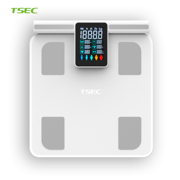 Electrode Body Scale with Handle Bar for Full Body Fat and BMI Analysis