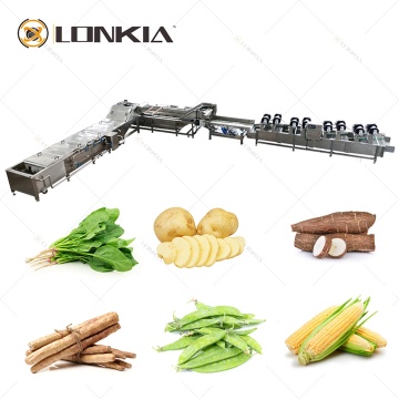 Automatic Industrial Fruit and Vegetable Washing, Blanching, and Cooling Line