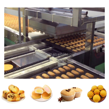 Full Automatic Madeleine Cake Production Line | Jaffa Cake Production Line