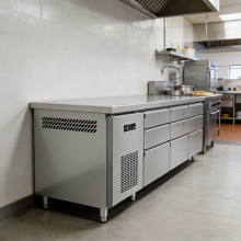 Steel worktable refrigerator with 9 drawers