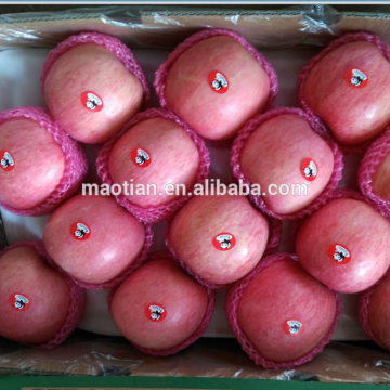 Apple Fruits-Stripe