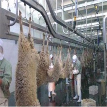 Turnkey Sheep/Goat/Lamb Slaughterhouse Equipment