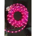 120V LED Cristmas Lights