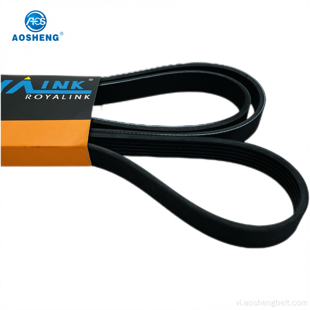 Cao su Auto Poly V Belt 8PK1215