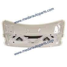 MG GT Tailgate Trunk Cover 10747243