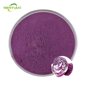 High-quality food-grade purple cabbage powder