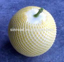 EPE Foam Fruit Protecting Net EPE Foam Fruit Mesh