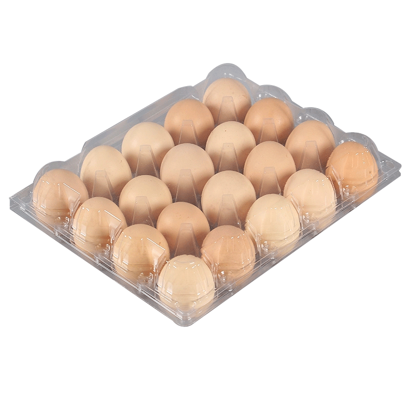 Bandeja vacía Caja de huevos de gallina en blíster transparente