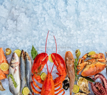 120kg/24hr Self-Contained Snow Granular Ice Making Machine