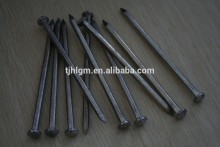 Hot sale galvanized square boat nails/gi boat nails in building