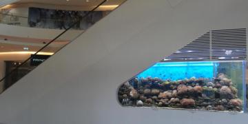 Customer large size pmma public place acrylic aquarium