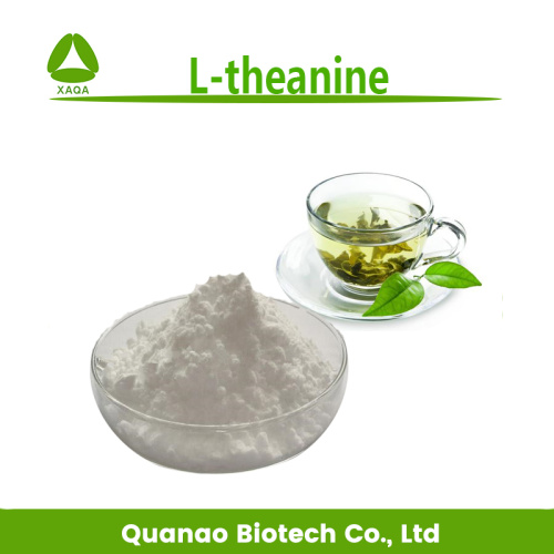 L-théanine 99% poudre n ° 3081-61-6