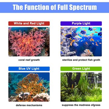 Dimmable Led Light With Switch Aquarium Coral