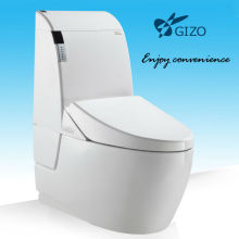 WC Washlet