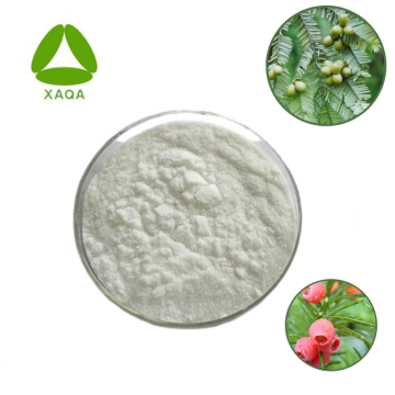 Taxus Extract 98% Harringtonin Powder 26833-85-2