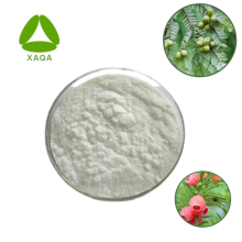 Extracto Taxus 98% Harringtonin Powder 26833-85-2